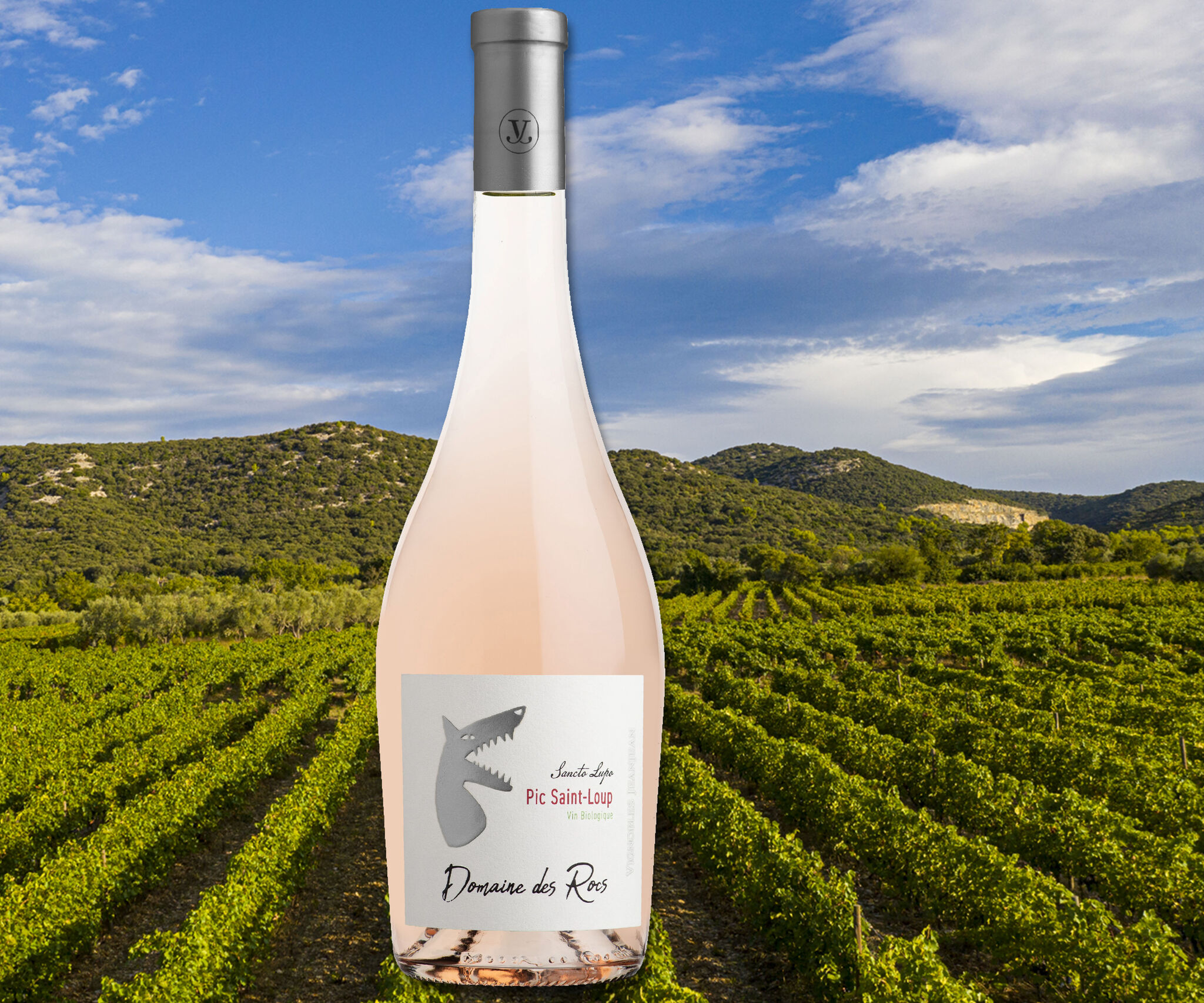 pic saint loup sancto lupo rosé